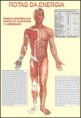 ACUPUNTURA - ROTAS DE ENERGIA 100x70 cm